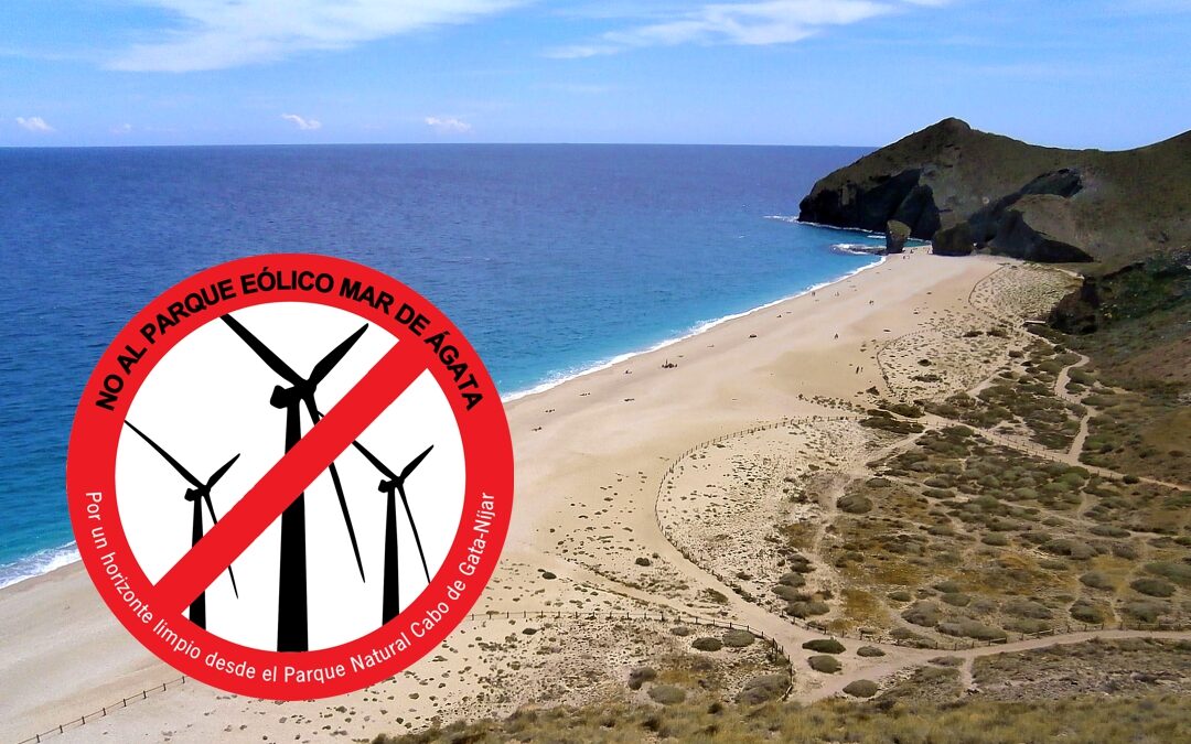 Amigos del Parque se opone a un parque eólico frente a la costa del Parque Natural Cabo de Gata-Níjar