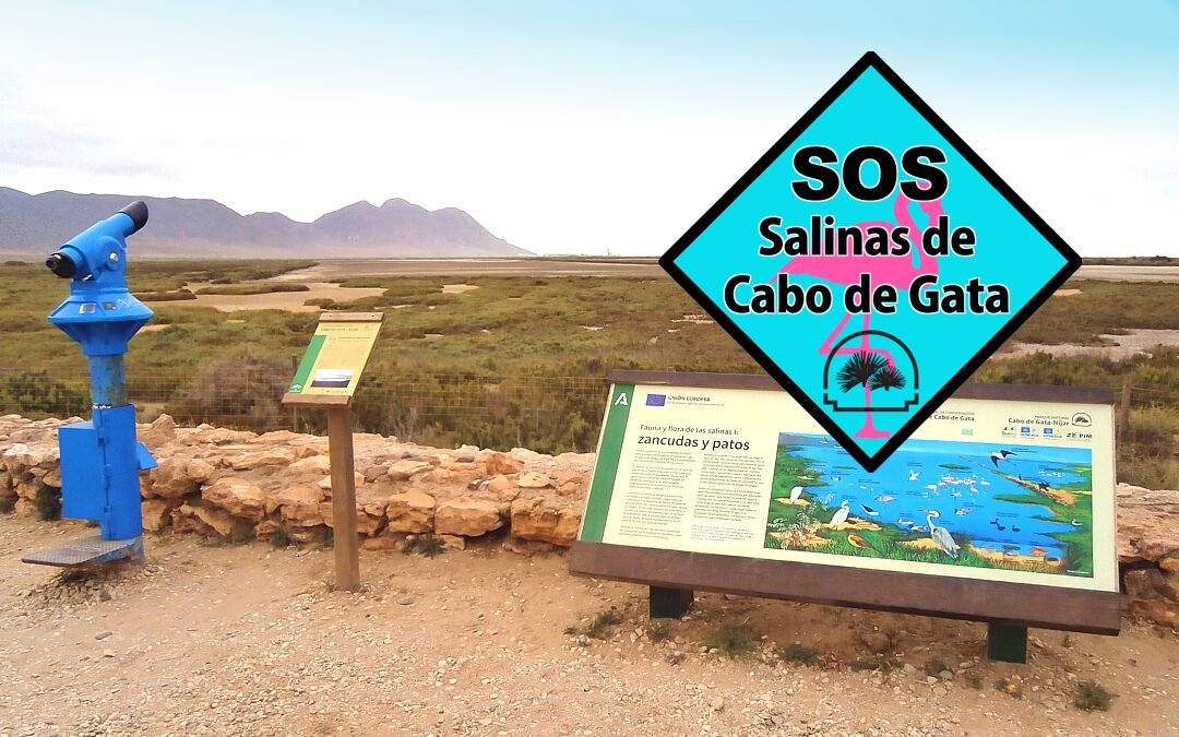Amigos del Parque pide una actuación urgente para evitar la desecación del humedal de las Salinas de Cabo de Gata