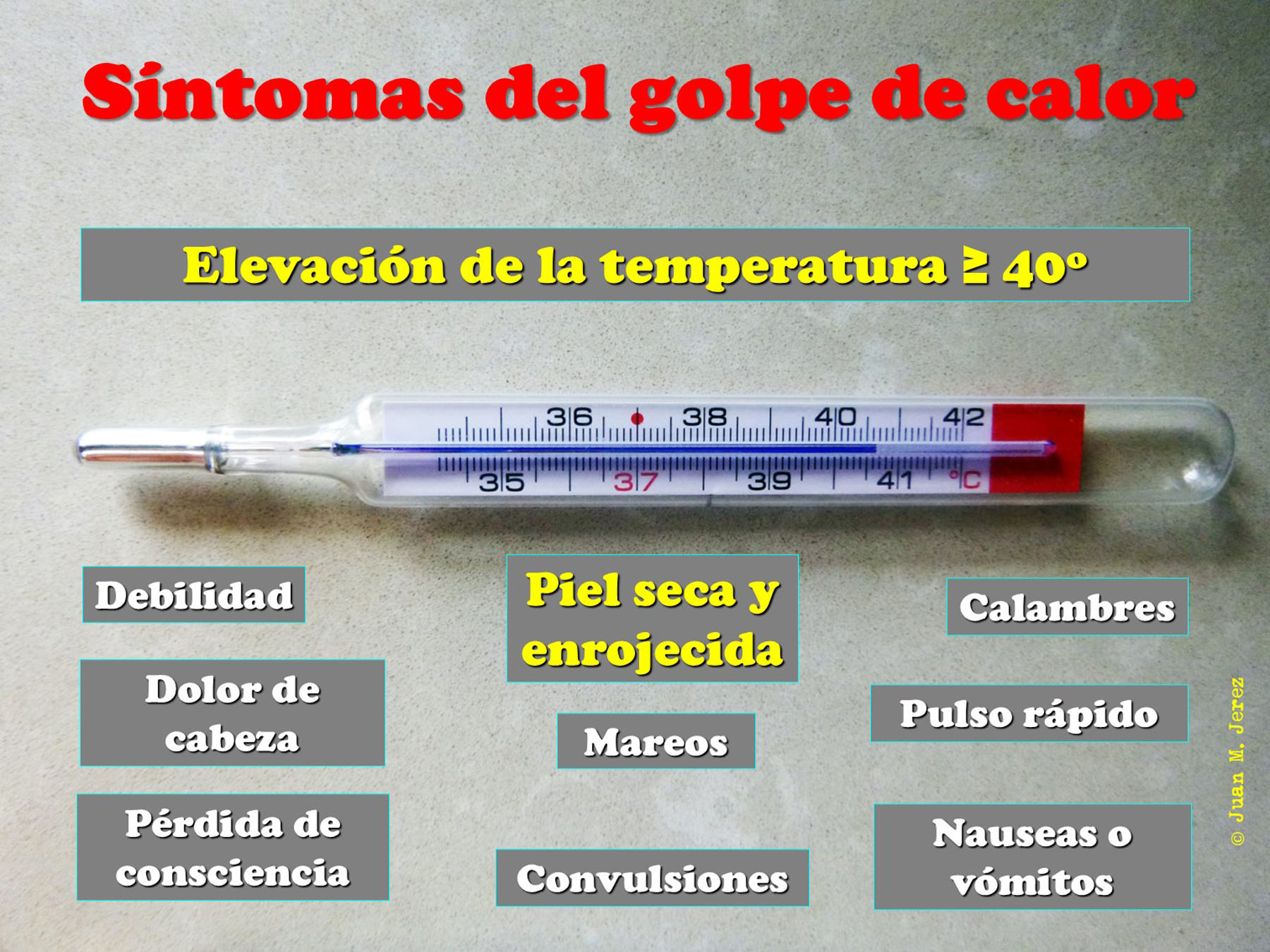 eseco31-23c
