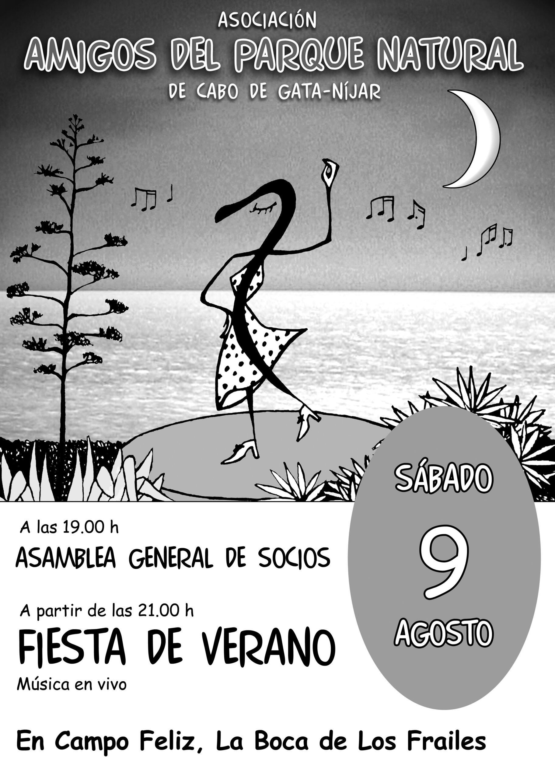 verano25