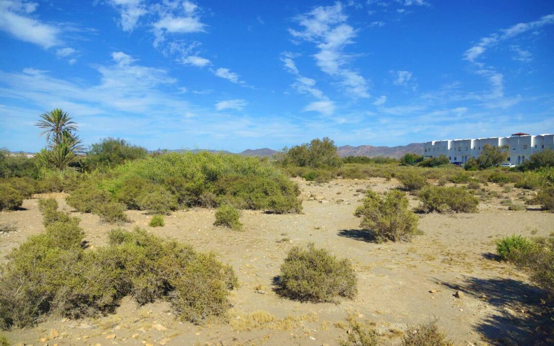 Petición para detener la urbanización en el Parque Natural de Cabo de Gata-Níjar